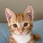 Rupert Kerr - @kerr.rupert - Instagram
