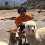 Rupert Lane - @rupe_lane - Instagram