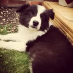 Rupert Lane - @rupertlane - Instagram