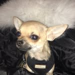 Rupert Lane-Granger - @rupertlanegranger - Instagram