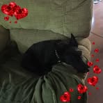 Susan Rupert McCoy - Facebook