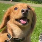 Rupert Morris Sheridan - @rudeboi_rupert - Instagram