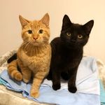 Frankie and Rupert Rogers - @frankieandrupertt - Instagram