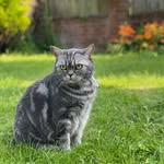 Rupert Salmon - @ruperts.18 - Instagram