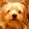 rupertedwards - @rupertedwards - TikTok