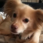 Prince Rupert Weaver - @princerupertw - Instagram