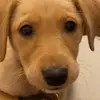 rupert - @rupert7250 - TikTok