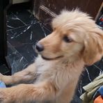 Rupinder Sharma - Facebook