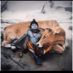 Rushi Dhirendrabhai Bhatt - @rushibhatt007 - Instagram