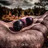 روشان علي - @rusichen8 - TikTok