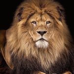 R u s l a n  K u s h n i r - @ruslankushnir_ - Instagram