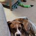 Russel Arnett III - Facebook