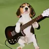 RuUs - @russday - TikTok