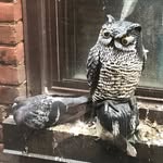 Russ Dougherty - @poopstoop1 - Instagram