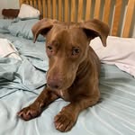 Russ Fields - @danger.russ1969 - Instagram