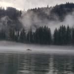 Russell Fields - @russell.fields - Instagram