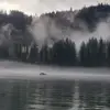 russellfields - @russell.fields19 - TikTok