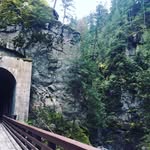 Russell - @russgillrie - Instagram