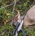 Russell Hamm - Facebook