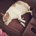 Russell Hammonds - Facebook