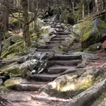 @russleach76 - Instagram
