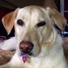 Russ Long - @russ.long - TikTok