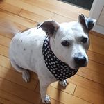 Russ Long - @rustylong2017 - Instagram