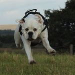 Russ Long - @russ.long.1426 - Instagram