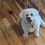 Russ Malone - @russ.malone.90.1 - Instagram