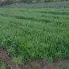 Abhishek_Anand - @rruss.mcdaniel - TikTok