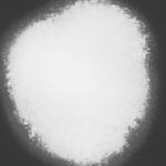 William Russ Nickel - @williamrussnickel - Instagram