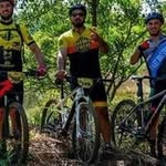 Norton - @norton_russo - Instagram