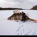 Ross Oakes - Facebook