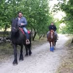 Domenico Russo - @russo.domenico68 - Instagram
