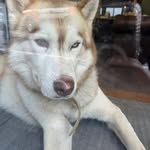 russo domenico - @russodomenico835 - Instagram