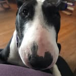 Russ Olsen - @russolsen60 - Instagram