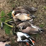 Russ Olson - @russ.olson.52 - Instagram