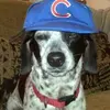 russonomics - @russonomics - TikTok