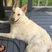Russ Ouellette - Facebook