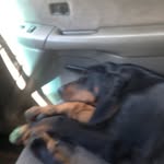Russ Palmer - @russpalmer_69 - Instagram