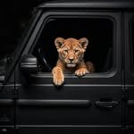 russparkme - @russparkme - Instagram