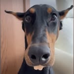 Russ Patterson - @rwpatterson007 - Instagram