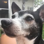 Russ Patterson - @rpattersonsatx - Instagram