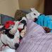 Russell Payne - Facebook
