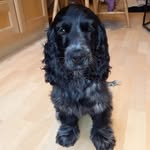 Russ Pearce - @russ_pearce47 - Instagram