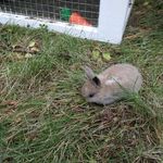 Russ Pearson - @russpearson58 - Instagram