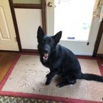 Russ Pearson - @rapjr8 - Instagram