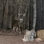 Russ Petersen - @nebsodbuster - Instagram