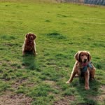 Russ Phillips - @madmanc61 - Instagram