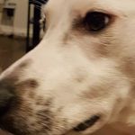 Russ Phillips - @russ.phillips.92 - Instagram